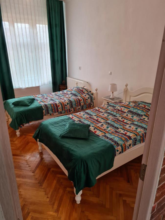 Stradela Cetatii Apartment シギショアラ エクステリア 写真