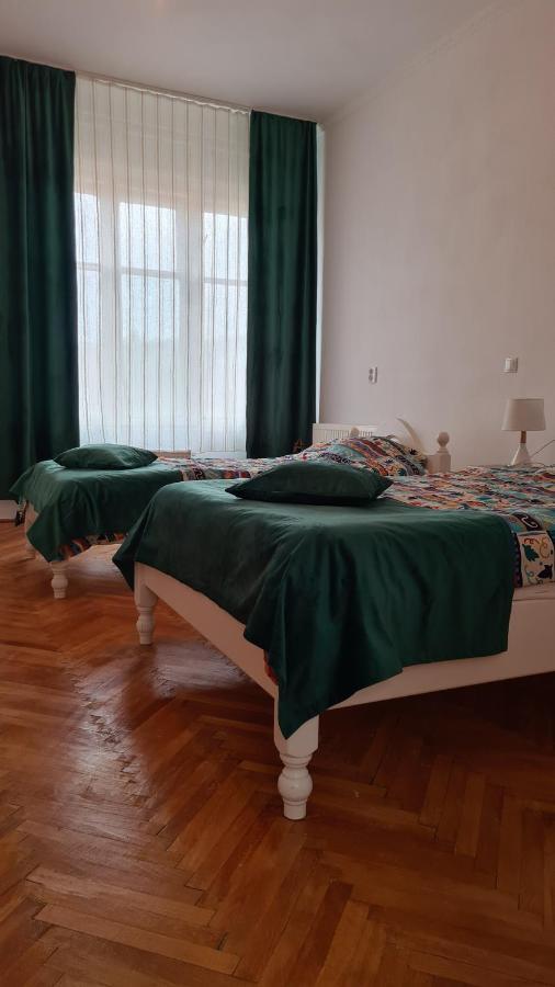 Stradela Cetatii Apartment シギショアラ エクステリア 写真