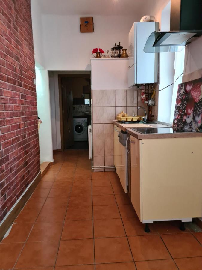 Stradela Cetatii Apartment シギショアラ エクステリア 写真